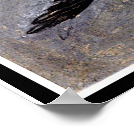 Klint - The Swan, No. 24, Group 1X SUW ポスター (角)