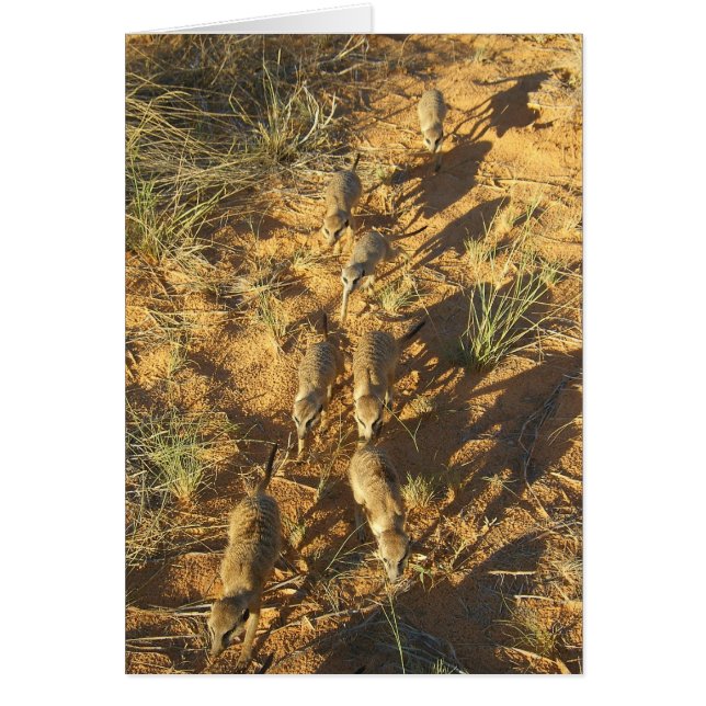 KMPカード10 - Moominsの最短コース (正面)