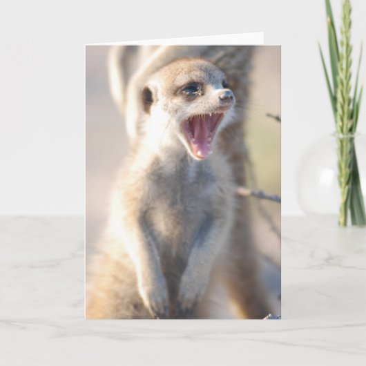 KMPカード18 -あくびをするナゲット カード (正面)