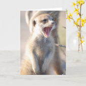 KMPカード18 -あくびをするナゲット カード (黄色い花)