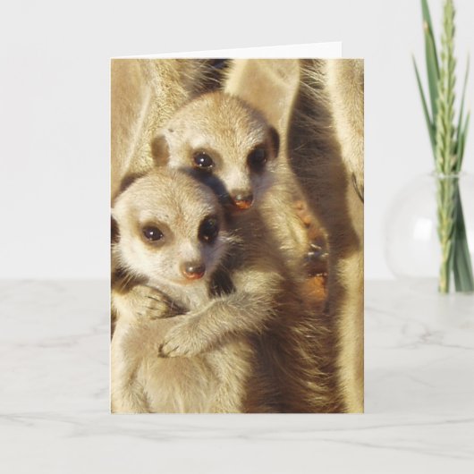 KMPカード1 -快活な子犬 カード (正面)