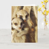KMPカード1 -快活な子犬 カード (黄色い花)