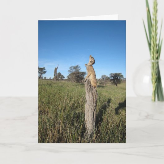 KMPカード2 - Monkulus カード (正面)