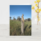 KMPカード2 - Monkulus カード (黄色い花)