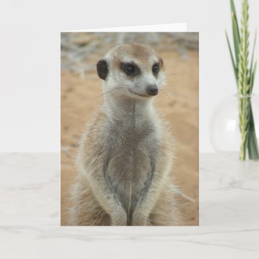 KMPカード3 - Hemulen Moomins カード (正面)