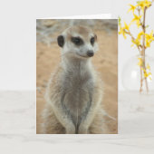 KMPカード3 - Hemulen Moomins カード (黄色い花)