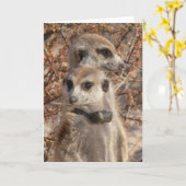 KMPカード4 - Jo Jo Hello and Habusu カード (黄色い花)