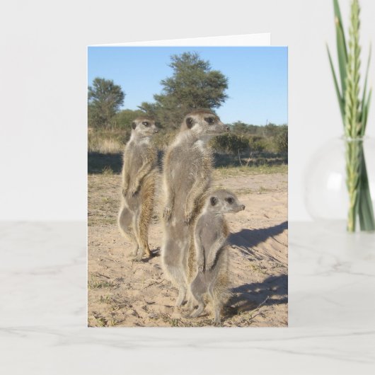 KMPカード7 -アズテック人 カード (正面)