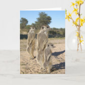 KMPカード7 -アズテック人 カード (黄色い花)