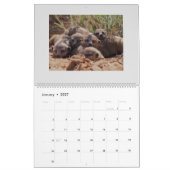 KMPミーアカット- 2020 カレンダー (1月 2027)