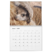 KMPミーアカット- 2020 カレンダー (3月 2027)