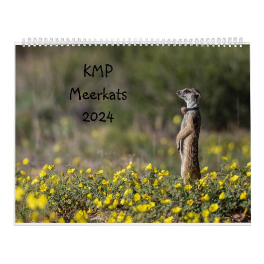 KMPメルカツのカレンダー2024 カレンダー (カバー)