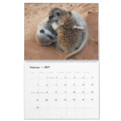 KMP 2025カレンダーのMeerkat Pups カレンダー (2月 2027)