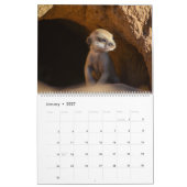 KMP 2025カレンダーのMeerkat Pups カレンダー (1月 2027)