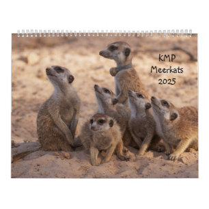 KMP Meerkat 2025カレンダー カレンダー