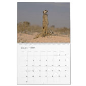 KMP Meerkat 2025カレンダー カレンダー (1月 2027)