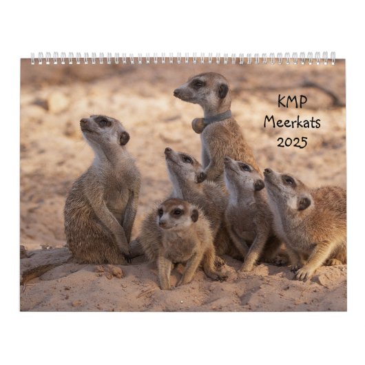 KMP Meerkat 2025カレンダー カレンダー (カバー)