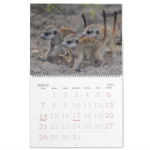 KMP Meerkats 2013のカレンダー カレンダー (3月 2027)