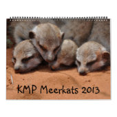 KMP Meerkats 2013のカレンダー カレンダー (カバー)