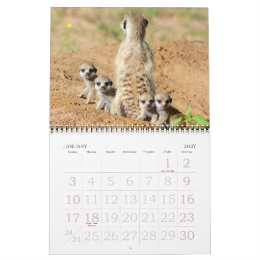 KMP Meerkats - 2015カレンダー カレンダー (1月 2027)