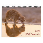 KMP Meerkats - 2015カレンダー カレンダー (カバー)