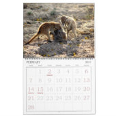 KMP Meerkats - 2016カレンダー カレンダー (2月 2027)