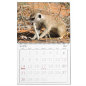 KMP Meerkats - 2016カレンダー カレンダー (3月 2027)