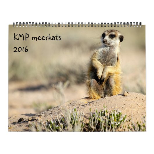 KMP Meerkats - 2016カレンダー カレンダー (カバー)