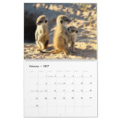 KMP Meerkats - 2017カレンダー カレンダー (2月 2027)