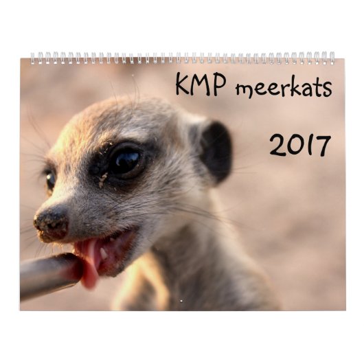 KMP Meerkats - 2017カレンダー カレンダー (カバー)