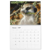 KMP Meerkats 2022カレンダー カレンダー (2月 2027)
