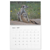 KMP Meerkats 2022カレンダー カレンダー (3月 2027)