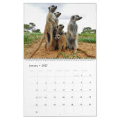 KMP Meerkats 2022カレンダー カレンダー (1月 2027)
