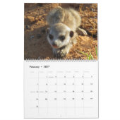 KMP Meerkats 2025カレンダー カレンダー (2月 2027)
