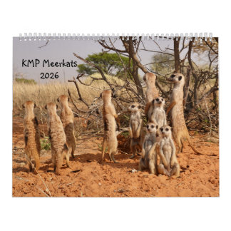 KMP Meerkats 2026 Calendar カレンダー
