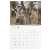 KMP Meerkats 2026 Calendar カレンダー (3月 2027)