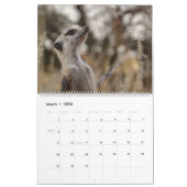 KMP Meerkats 2026 Calendar カレンダー (3月 2026)