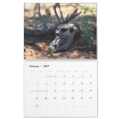 KMP Meerkats 2026 Calendar カレンダー (2月 2027)