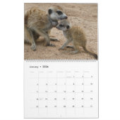 KMP Meerkats 2026 Calendar カレンダー (1月 2026)