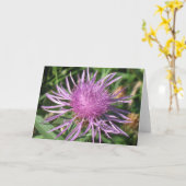 Knappweedのメッセージカード カード (黄色い花)