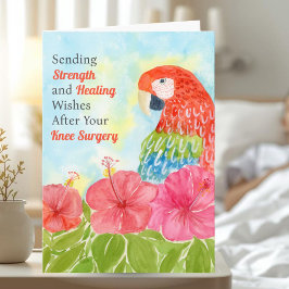Knee Surgery Healing with Scarlet Macaws, Hibiscus カード