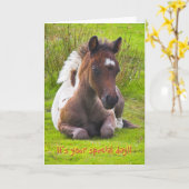 Kneeling Dartmoor Pony Foal誕生日カード カード (黄色い花)