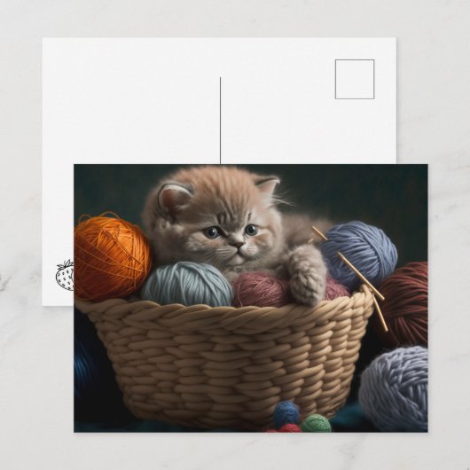 Knitting cat postcard ポストカード (正面/裏面)