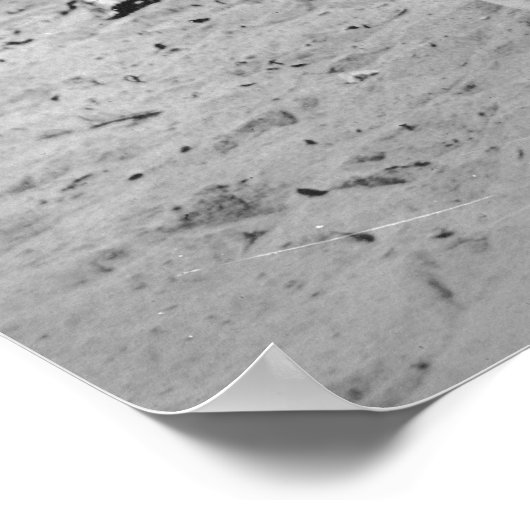 Knitting Lifeguards, early 1900s ポスター (角)