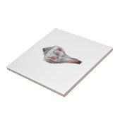 Knobbed貝をWhelk タイル (側面)