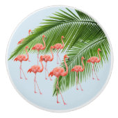 Knopp セラミックノブ (正面)