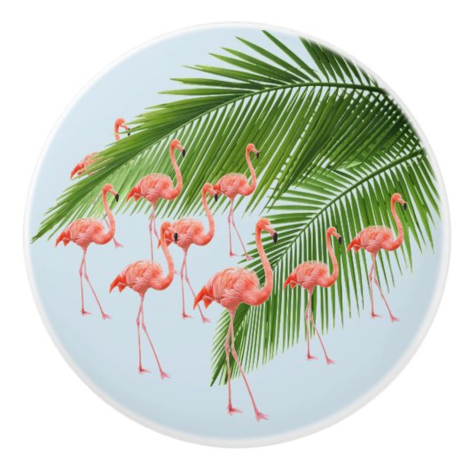 Knopp セラミックノブ (正面)