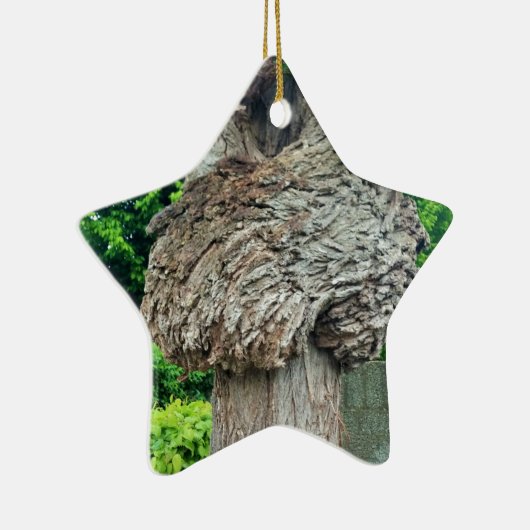 Knot on Tree Trunk、Knar、自然緑 セラミックオーナメント (右)