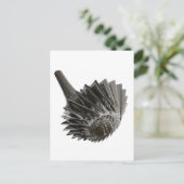 knoten2009 ポストカード (スタンド正面)