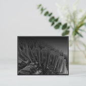 knoten 2004 ポストカード (スタンド正面)